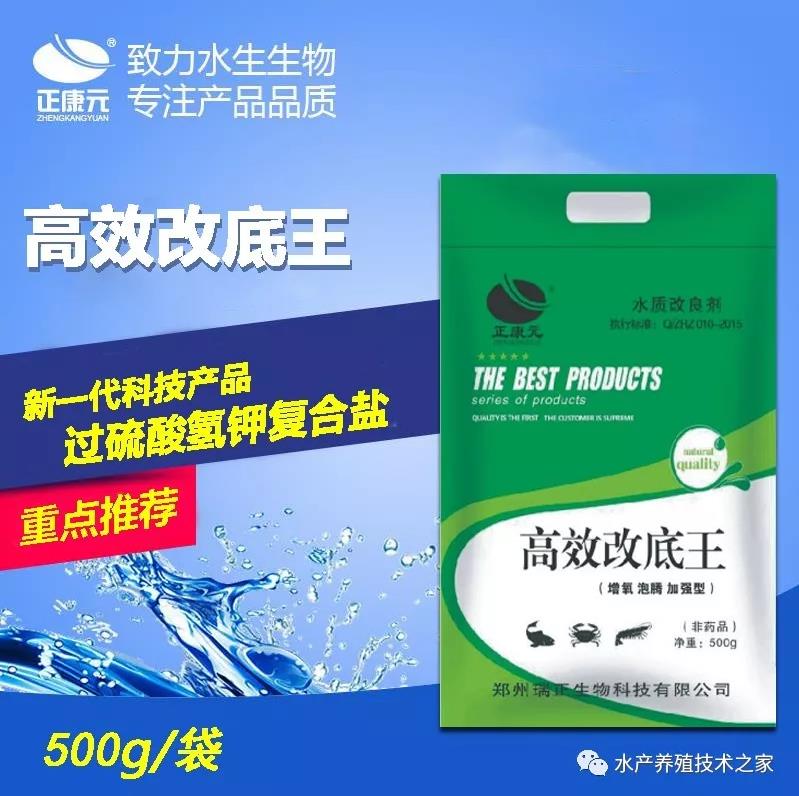 360؈D20191006112948710.jpg