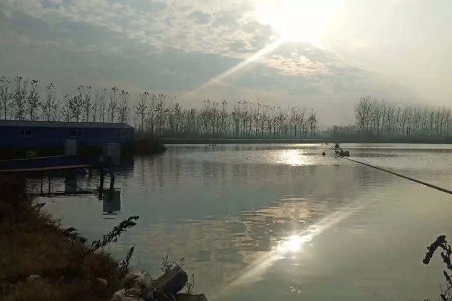 C؈D20191130022648.jpg