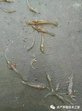 QQg[�?0191216103908.jpg