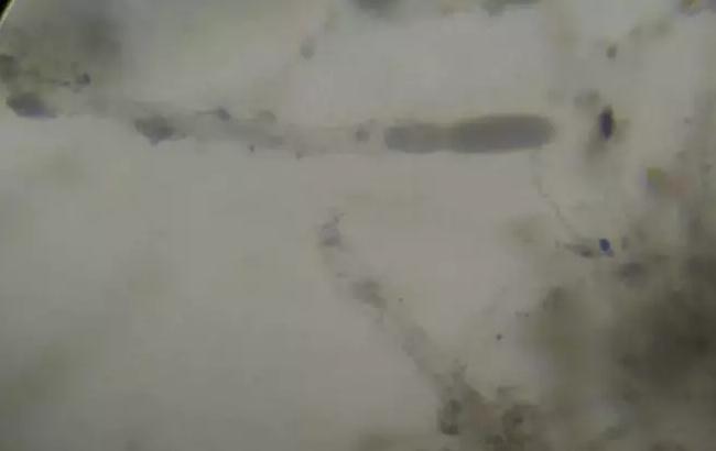 QQg[�?0191217101622.jpg