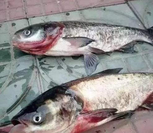 C؈D20191228161626.jpg