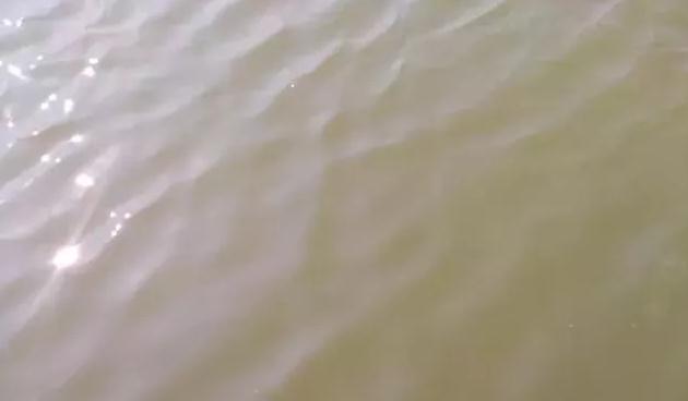 QQg[�?0191231143143.jpg