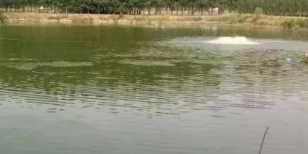 360؈D20200128220643710.jpg