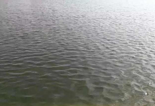 ôxxô